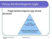 Kompiuterių virusai 15 puslapis