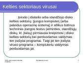 Kompiuterių virusai 6 puslapis