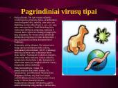 Kompiuterių virusų pavyzdžiai 7 puslapis