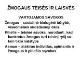 Konstitucinė teisė Lietuvoje 16 puslapis