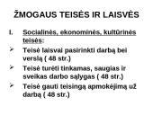 Konstitucinė teisė Lietuvoje 17 puslapis