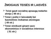 Konstitucinė teisė Lietuvoje 18 puslapis