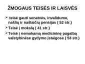 Konstitucinė teisė Lietuvoje 19 puslapis