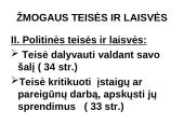 Konstitucinė teisė Lietuvoje 20 puslapis