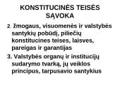 Konstitucinė teisė Lietuvoje 3 puslapis