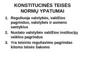 Konstitucinė teisė Lietuvoje 4 puslapis