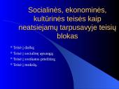 Konstitucinė teisė kaip teisės šaka (sritis) ir kaip teisinės sistemos branduolys 20 puslapis