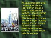 Kovo 11-oji 2 puslapis