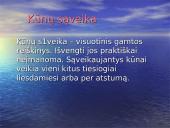 Kūnų sąveikos dėsniai 4 puslapis
