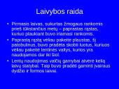 Laivininkystė ir laivybos raida 2 puslapis
