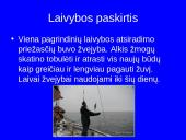 Laivininkystė ir laivybos raida 3 puslapis