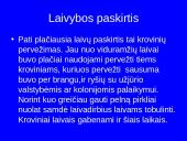 Laivininkystė ir laivybos raida 4 puslapis