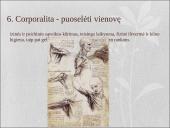 Leonardo da Vinči "Septyni gyvenimo principai" 13 puslapis
