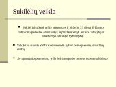 Lietuva Vokietijos okupacijos metais 4 puslapis