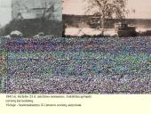 Lietuva Vokietijos okupacijos metais 7 puslapis