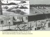 Lietuva Vokietijos okupacijos metais 8 puslapis