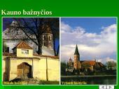 Lietuvos bažnyčios, dvarai ir pilys 11 puslapis