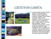 Lietuvos gamta ir miškai 2 puslapis