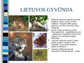 Lietuvos gamta ir miškai 11 puslapis