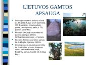 Lietuvos gamta ir miškai 12 puslapis