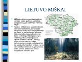Lietuvos gamta ir miškai 3 puslapis