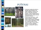Lietuvos gamta ir miškai 4 puslapis
