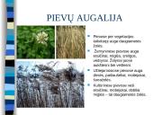 Lietuvos gamta ir miškai 8 puslapis