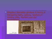 Lietuvos tautinių kostiumų aksesuarai 13 puslapis