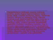 Lietuvos tautinių kostiumų aksesuarai 15 puslapis