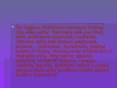 Lietuvos tautinių kostiumų aksesuarai 19 puslapis