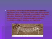 Lietuvos tautinių kostiumų aksesuarai 20 puslapis