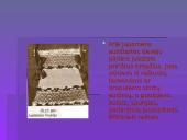 Lietuvos tautinių kostiumų aksesuarai 4 puslapis