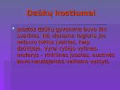 Lietuvos tautinių kostiumų aksesuarai 5 puslapis