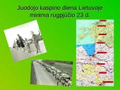 Lietuvos valstybės atkūrimas: 1990 metai kovo 11 diena 9 puslapis