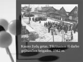 Lietuvos žydų tragedija 14 puslapis