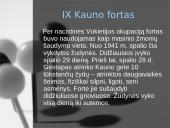 Lietuvos žydų tragedija 19 puslapis