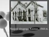 Lietuvos žydų tragedija 5 puslapis