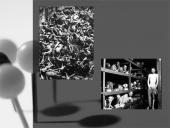 Lietuvos žydų tragedija 7 puslapis