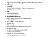 Ligonio paruošimas anestezijai 17 puslapis