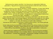 Liudvigas van Bethovenas 11 puslapis