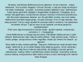 Liudvigas van Bethovenas 12 puslapis