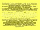 Liudvigas van Bethovenas 17 puslapis