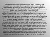 Liudvigas van Bethovenas 19 puslapis