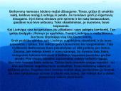 Liudvigas van Bethovenas 3 puslapis