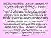 Liudvigas van Bethovenas 4 puslapis