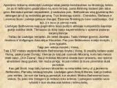 Liudvigas van Bethovenas 5 puslapis