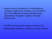 Magnis. Magvit 2 puslapis