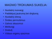 Magnis. Magvit 3 puslapis