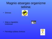 Magnis. Magvit 4 puslapis