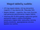 Magnis. Magvit 5 puslapis